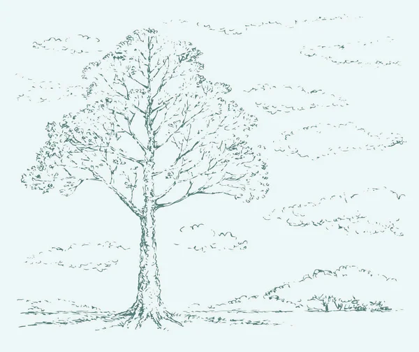 Großer alter Baum im Retro-Doodle-Stil — Stockvektor