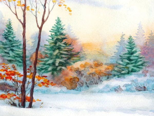 Aquarelllandschaft. Winter im Wald — Stockfoto