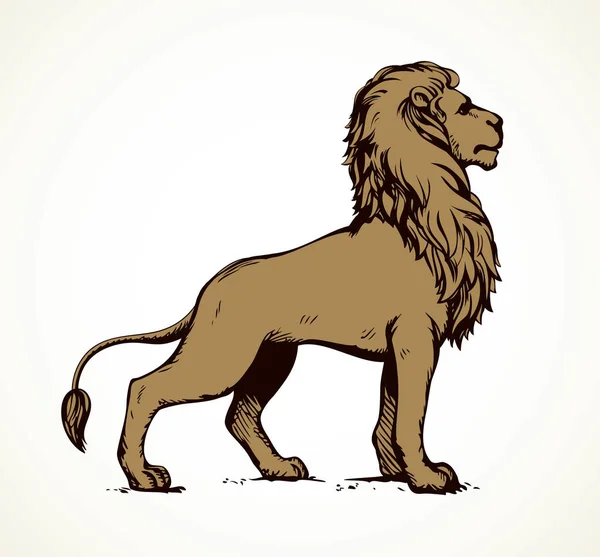 ライオン。ベクトル描画 — ストックベクタ