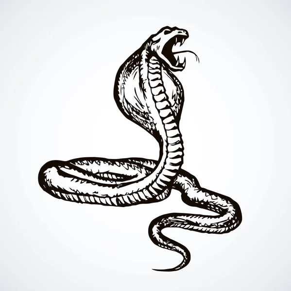 Un serpent. Dessin vectoriel — Image vectorielle