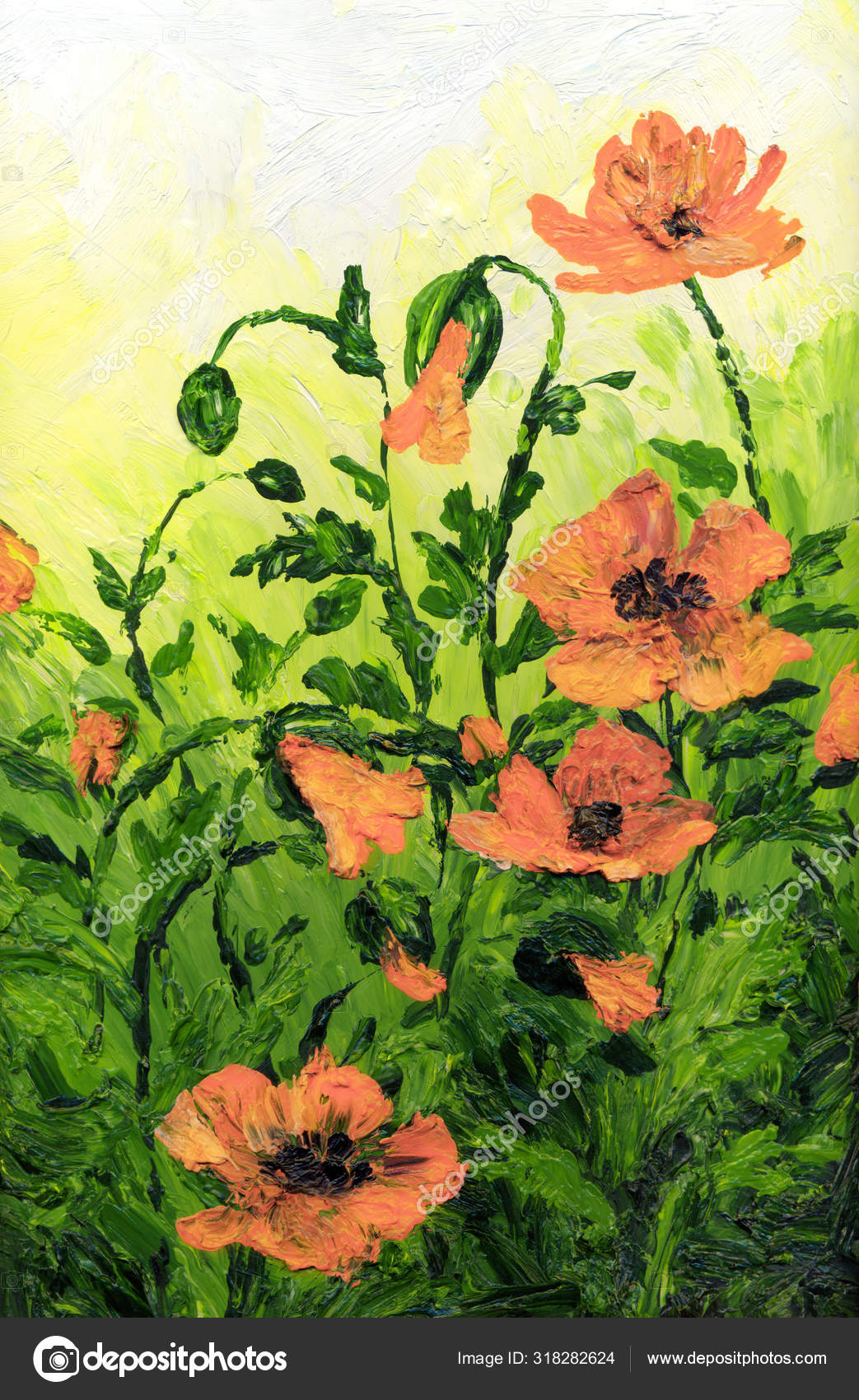 Oil Painting Red Poppies In The Field Stock Photo Image By C Marinka Oil Painting Red Poppies In The Field Stock Photo Image By C Marinka
