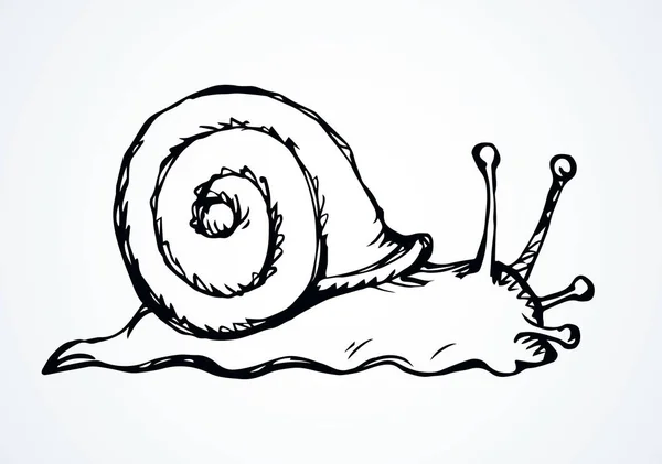 Un caracol se arrastra en el suelo. Dibujo vectorial — Archivo Imágenes Vectoriales