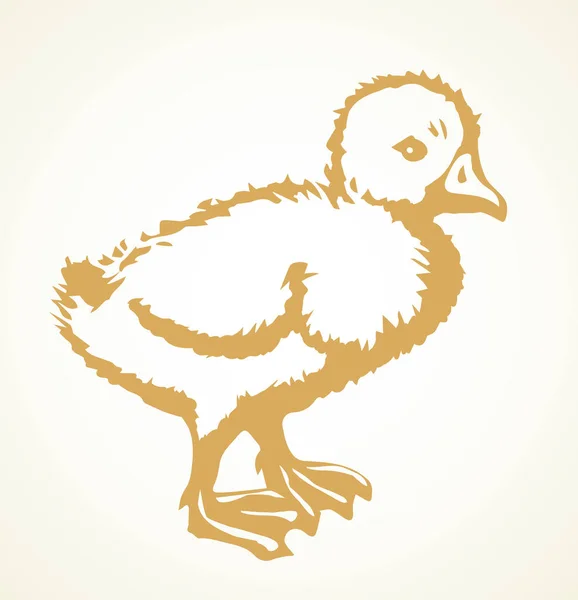 Petit canard. icône de dessin vectoriel — Image vectorielle