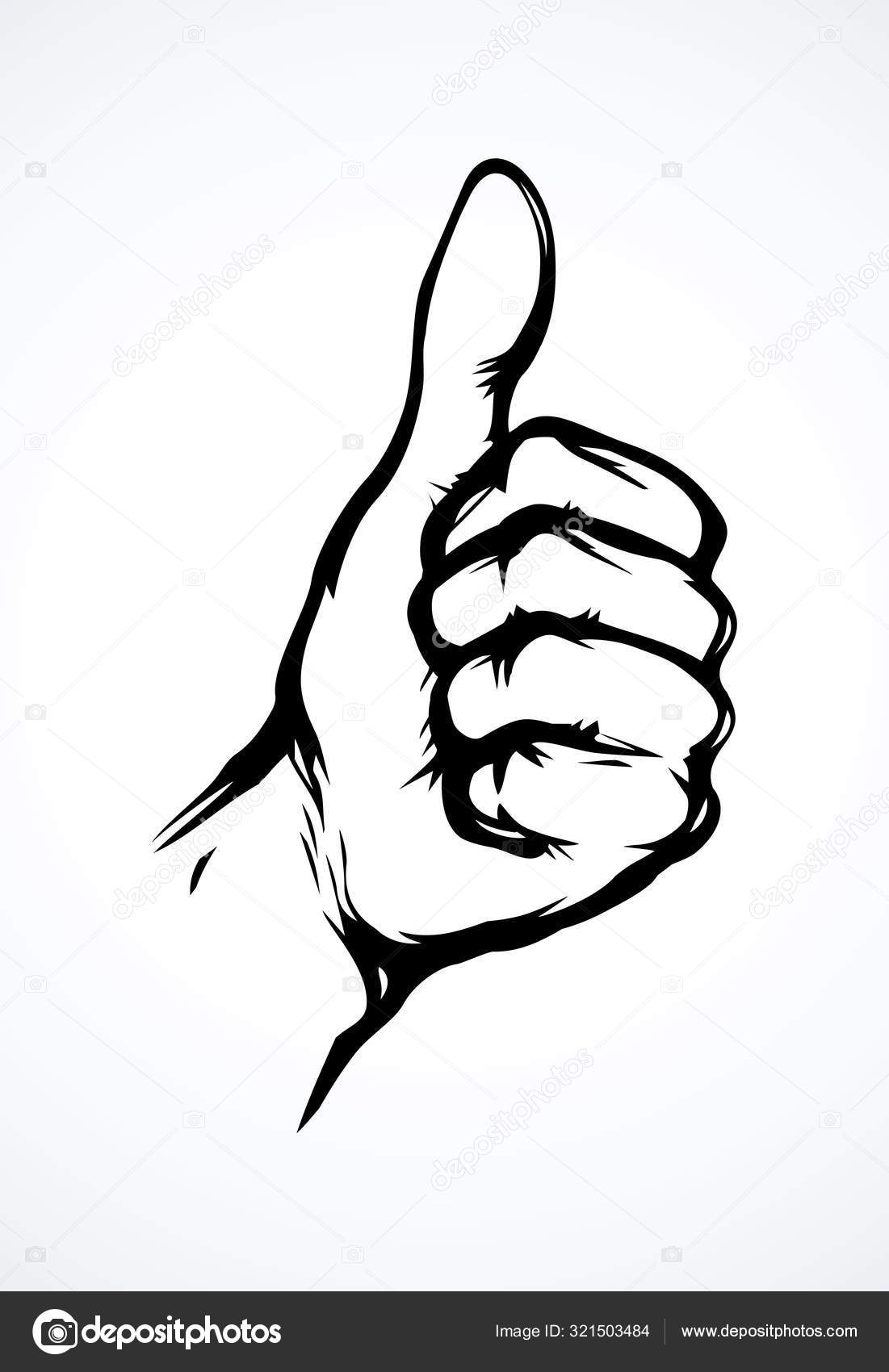Hand drawn thumbs up. Like symbol doodle icon. Hand gesture showing thumb up  isolated on white background. Vector illustration. Sign for web, poster  Stock Vector Image & Art - Alamy