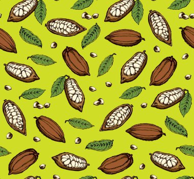 Kakao meyveleri. Vektör çizim