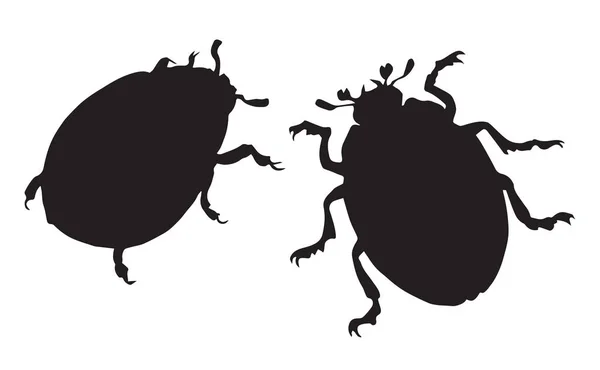 Escarabajo. Dibujo vectorial — Archivo Imágenes Vectoriales
