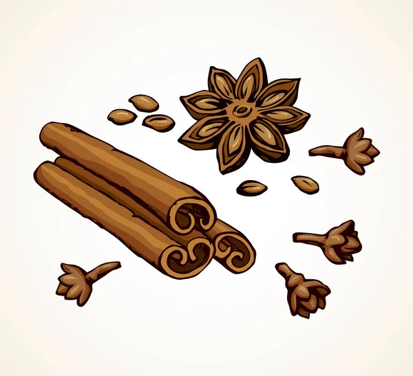 Anise. Dibujo vectorial — Vector de stock