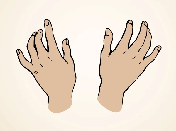 Massagista Machoストックベクター ロイヤリティフリーmassagista Machoイラスト ページ 2 Depositphotos