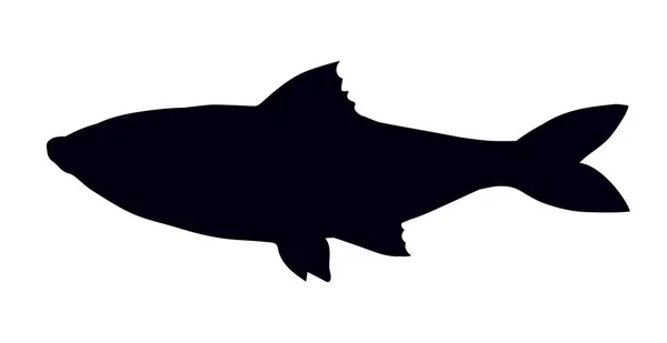 Große Meeresfische. Vektorzeichnung — Stockvektor