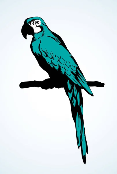 Papageienvogel-Symbol. Vektorzeichnung — Stockvektor