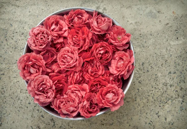 Rosa rosor i skål — Stockfoto