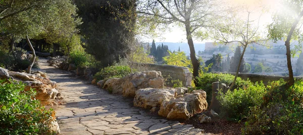 Kudüs'ten zeytin Dağı manzarası — Stok fotoğraf