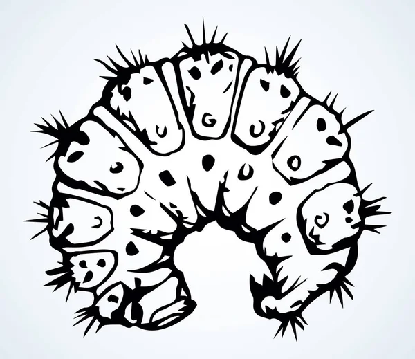 Little caterpillar. Vector sketch drawing — Stock Vector