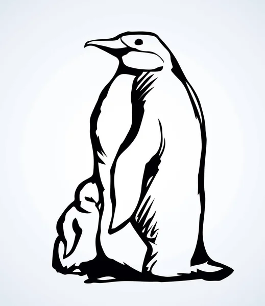Pingüino en el hielo. Dibujo vectorial — Vector de stock