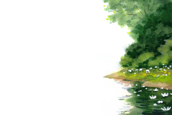 ユリの池。水彩画 — ストック写真