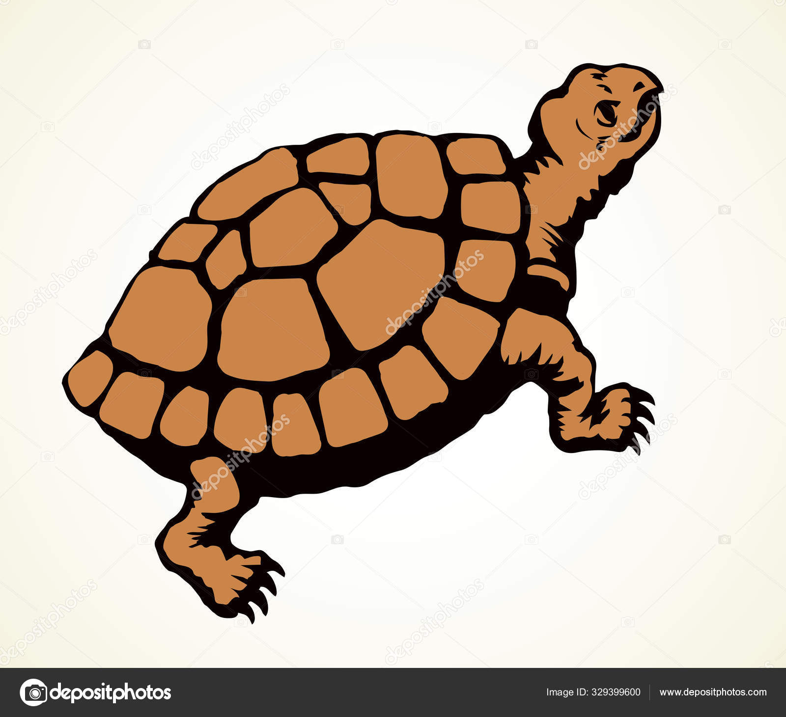 小乌龟在爬行。 矢量绘图图库矢量图©Marinka 329399600