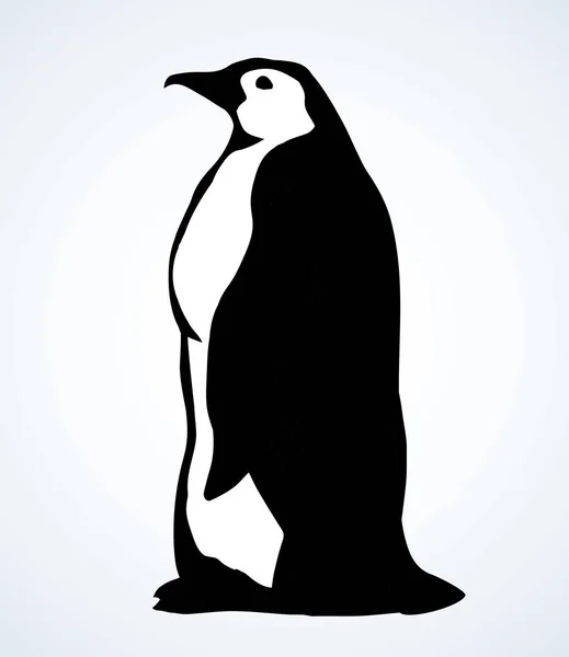 Pingüino en el hielo. Dibujo vectorial — Archivo Imágenes Vectoriales