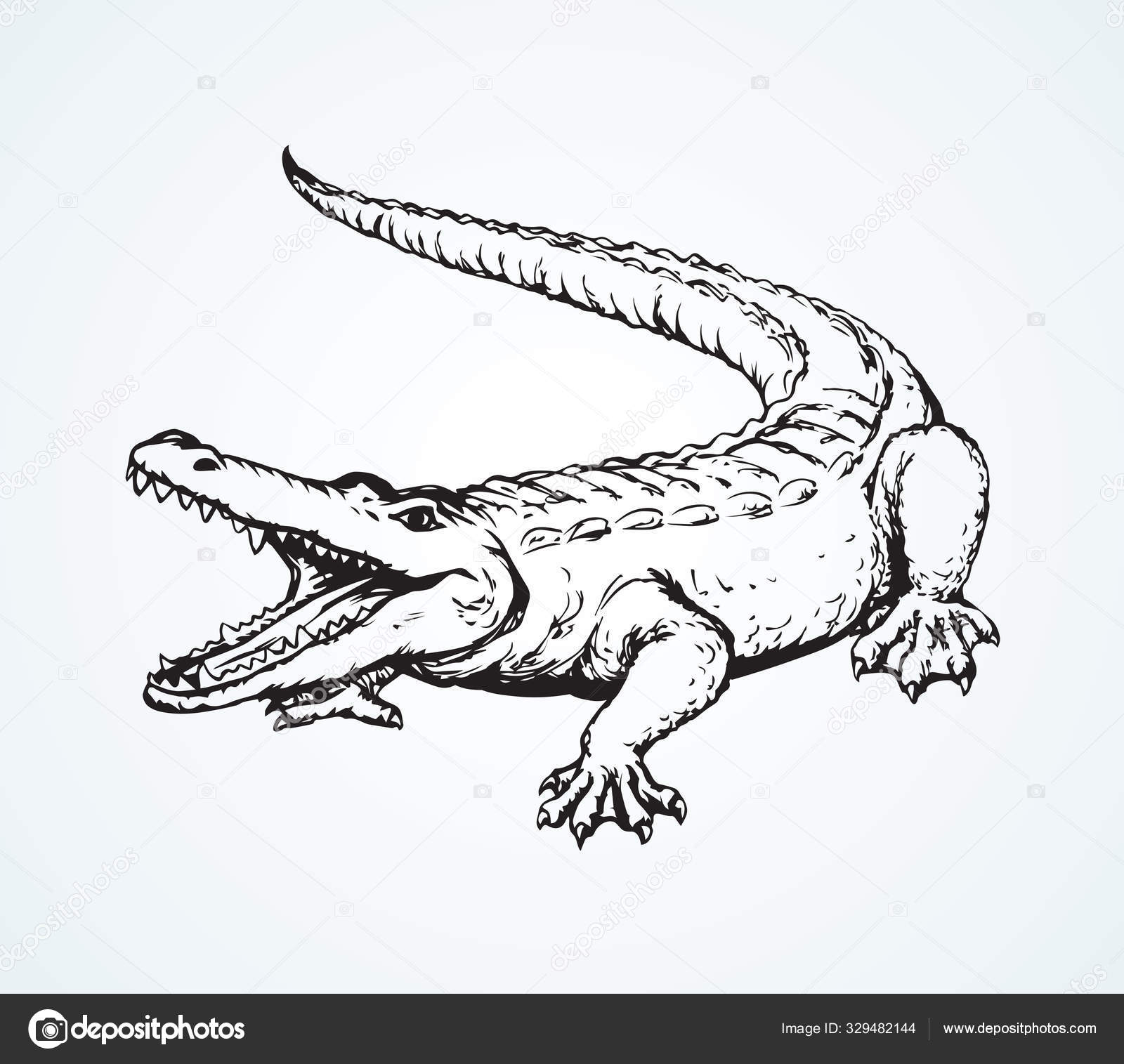 Vector drawing Stock Vector by ©Marinka 329482144