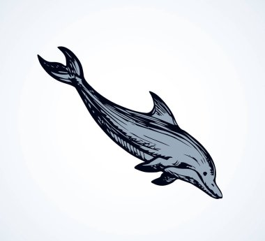 Yunus. Vektör çizim