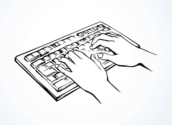 Hands on the keyboard. Vector drawing — Stock Vector