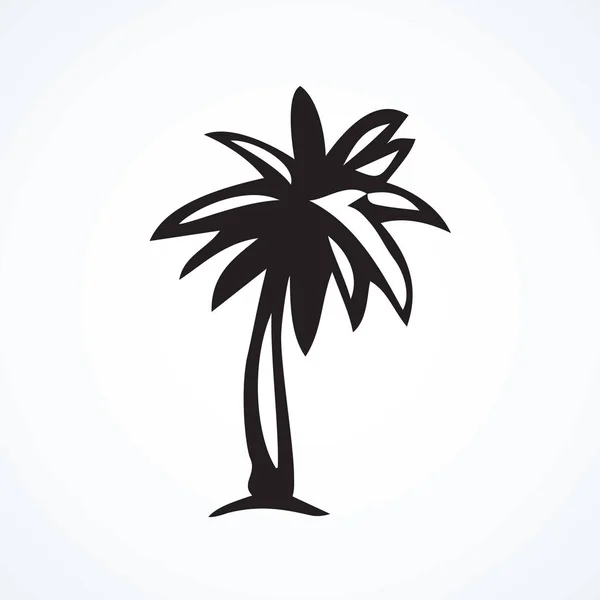 Palmboom. Vector tekening — Stockvector