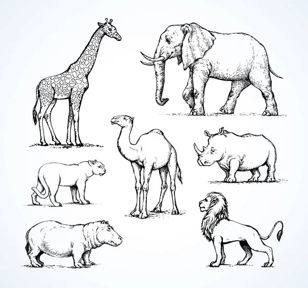 Animales africanos. Dibujo vectorial — Vector de stock