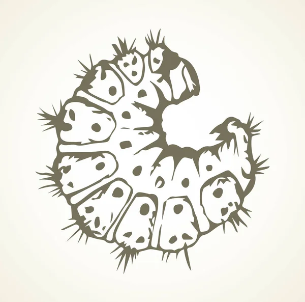 Little caterpillar. Vector sketch drawing — 스톡 벡터