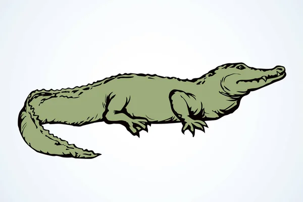 Крокодил. Векторний знак піктограми малювання — стоковий вектор