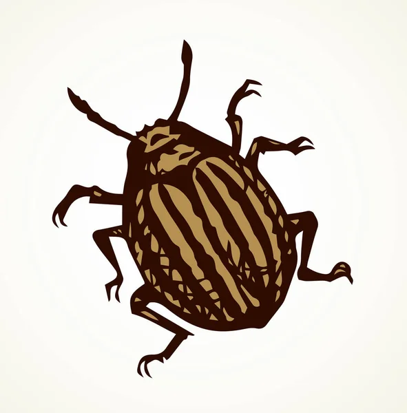 Escarabajo de Colorado. Dibujo vectorial — Vector de stock