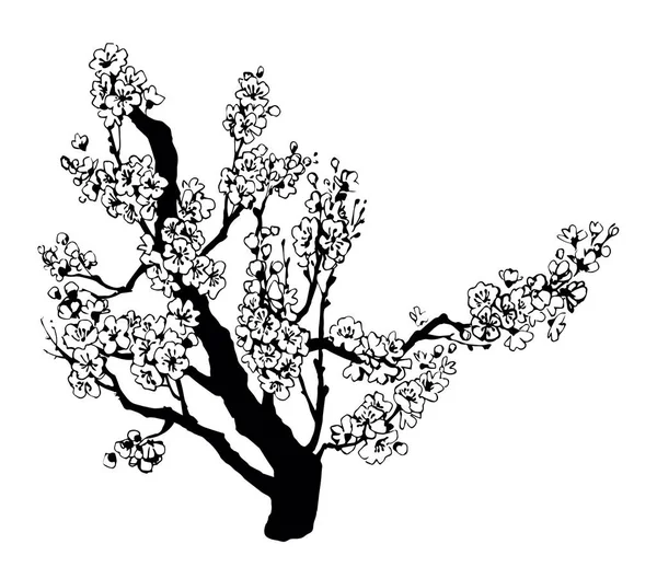 ต้นไม้ดอกไม้ฤดูใบไม้ผลิ การวาดภาพเวกเตอร์ — ภาพเวกเตอร์สต็อก