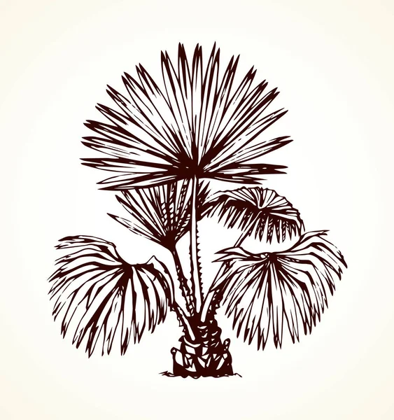 Arbusto tropical. Desenho vetorial — Vetor de Stock