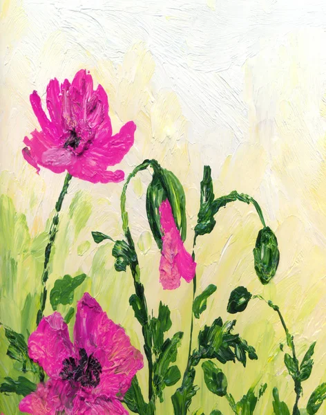 油画。 外地的红罂粟 — 图库照片