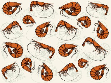 Büyük karides. Vektör çizimi