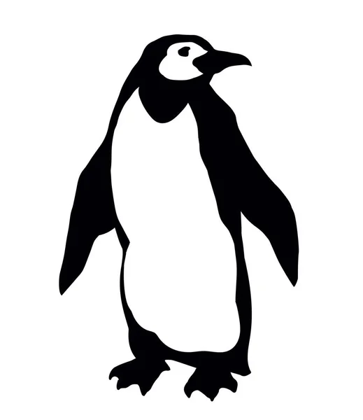 Pingüino en el hielo. Dibujo vectorial — Vector de stock