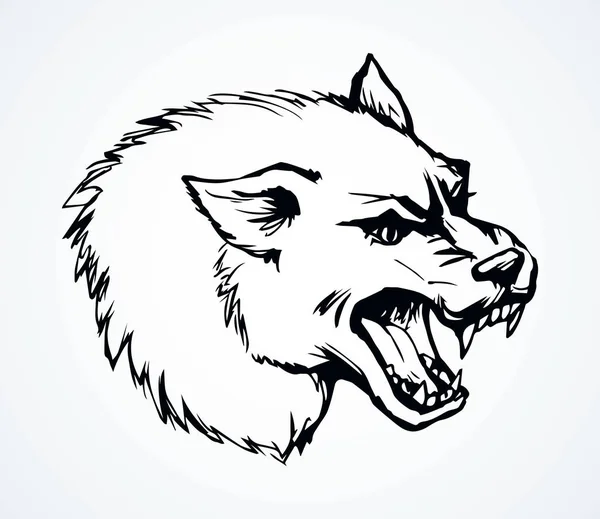 Open mouth. Grin. Vector drawing wolf — 스톡 벡터
