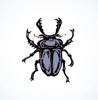 Lucanus cervus. Vektör çizim