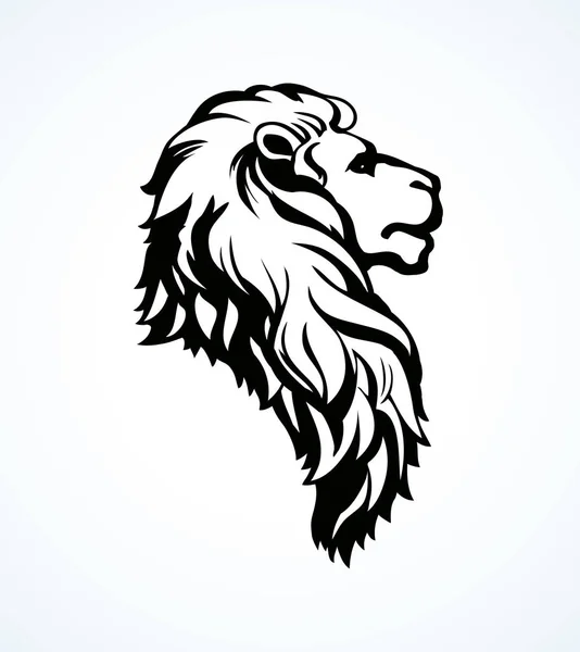 Lion. Vector drawing — Stock Vector