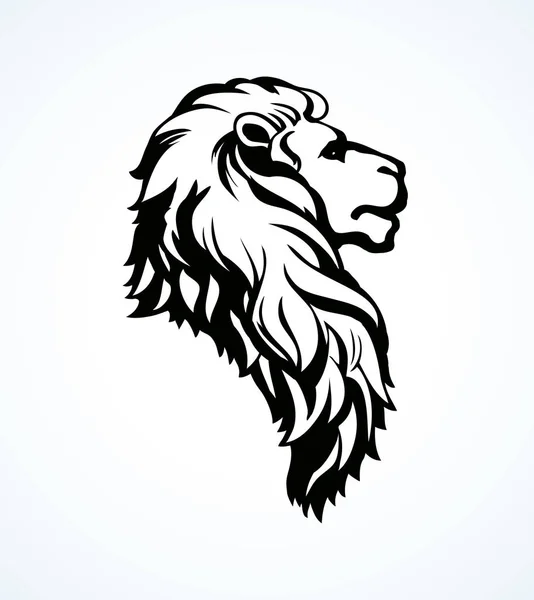 León. Dibujo vectorial — Vector de stock