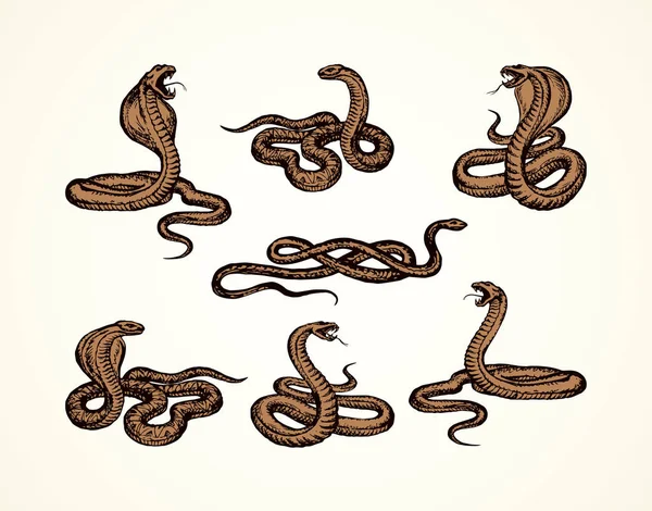 Serpiente. Dibujo vectorial — Vector de stock