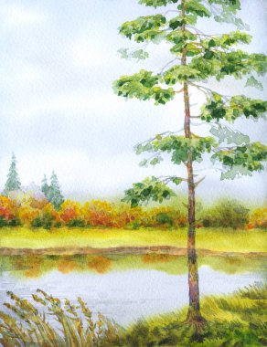 Suluboya manzara. Ormanda akarsu