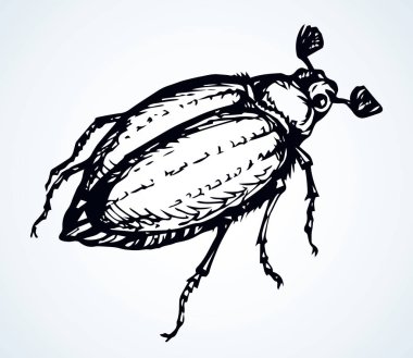 Chafer. Büyük bir böceğin vektör çizimi