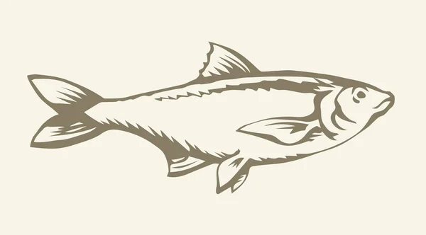 Gros poisson de mer. Dessin vectoriel — Image vectorielle