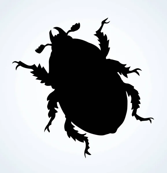 Chafer. Vector drawing of a big beetle — Stock Vector