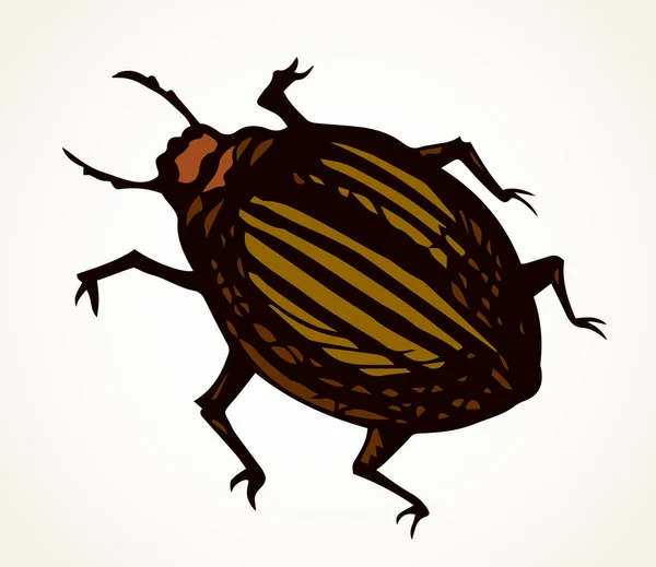 Escarabajo de Colorado. Error de dibujo vectorial — Vector de stock