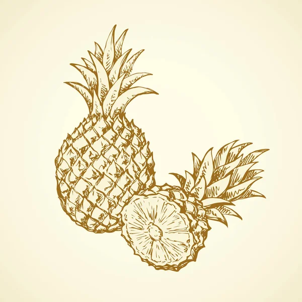 Ananas. Vector tekening — Stockvector