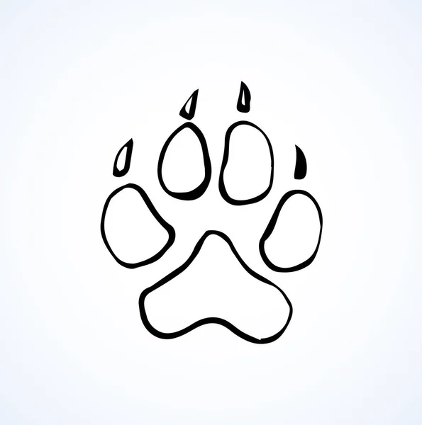 Traces of a bear. Vector drawing Stock Vector