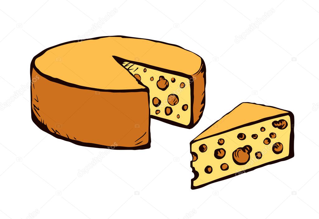 Tasty healthy fat dutch brie segment on light backdrop. Freehand outline black ink hand drawn french chees emblem design in retro art doodle engrave print style pen on paper text space. Closeup view
