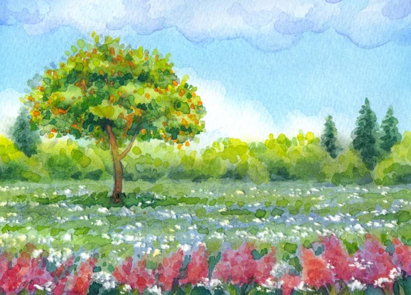 色彩艳丽的明亮的水彩画在纸的背景图片上 有文字空间 不同季节 蓝天中的白色积雪草 覆盖在山谷 绿树成荫 野花和冷杉在地平线上 — 图库照片