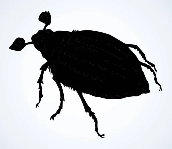 Lindo Melolonthinae Hembra Fondo Del Espacio Texto Papel Ligero Freehand — Vector de stock