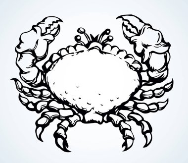 Büyük kırmızı, sağlıklı dekapod, açık kumda sürünüyor. El yazısı, siyah mürekkep, sağlıkçı aşçı ıstakoz amblemi tasarımı, eski sanat eserleri, kağıt metin alanlarına kazınmış kalem tasarımı. Üst görünümü kapat